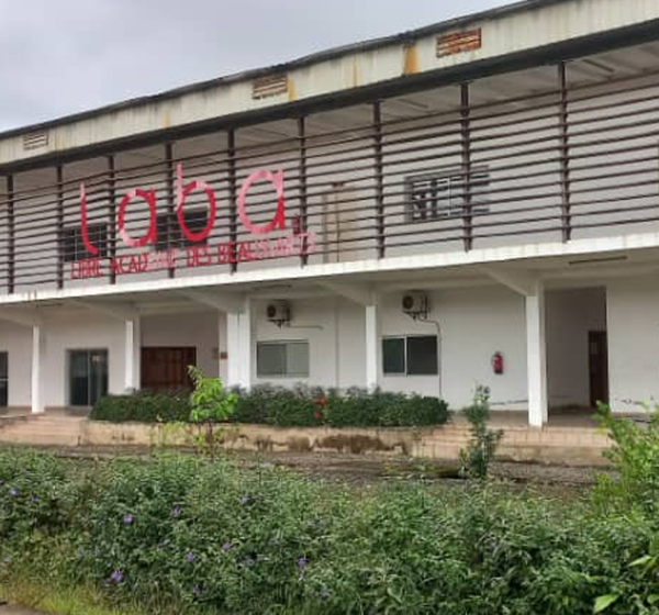 Visite guidée de la LABA - Libre Académie des Beaux-Arts