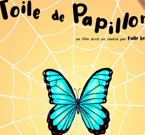 Toile de papillon 