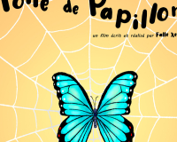 Toile de papillon 